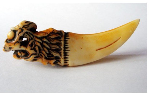       ȣ ̻/Rare China old Tiger Teeth carving bone Statue